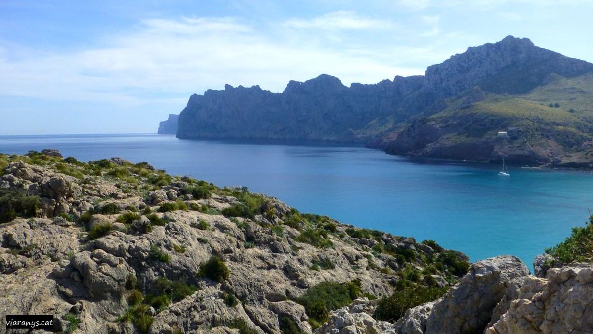 Wandern mit Wow-Effekt: Mallorcas Natur hautnah
