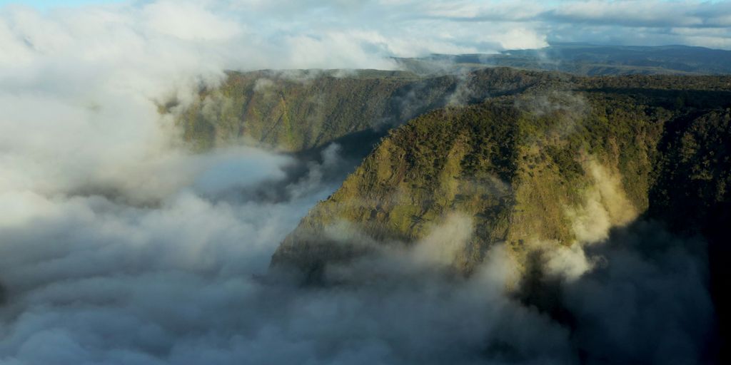 Urlaub mit Kindern in Deutschland - mountain covered with fogs view